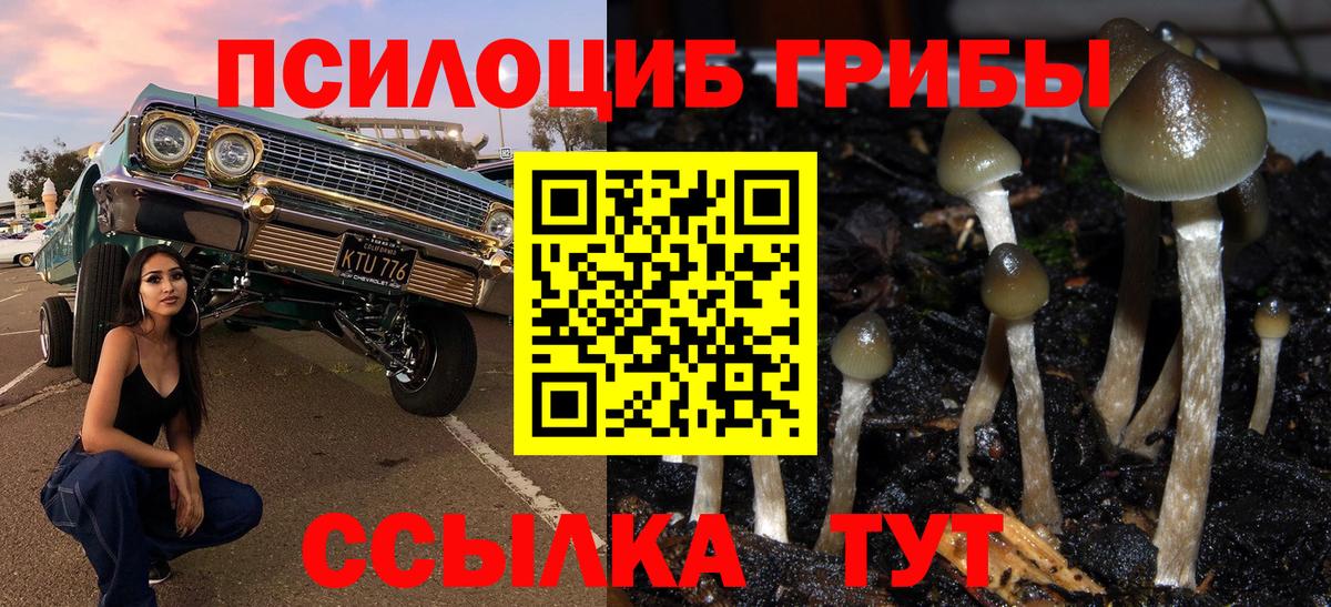 Галлюциногенные грибы ЛСД  Вход с VPN  Лениногорск 
