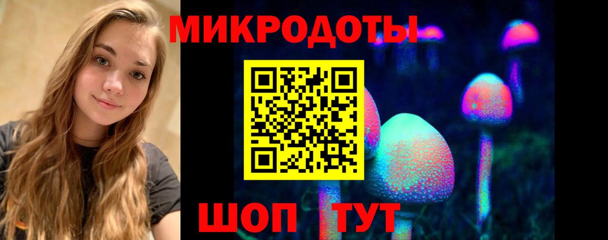 Псилоцибиновые грибы Psilocybine cubensis Лениногорск
